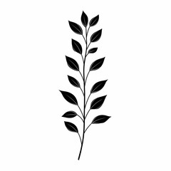 Fototapeta premium Minimalist Botanical Illustration: Black and White Leaf Silhouette with Vintage Style for Nature Art and Eco-Friendly Design
