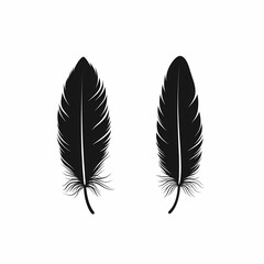 Obraz premium Elegant Black Feather Illustration - Stylish and Creative Graphic Design