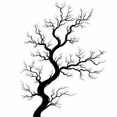 Abstract Silhouette of Twisted Tree Branches: Nature's Artistic Outline in Isolated Fine Art Panel