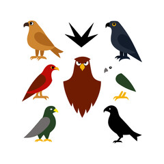 Fototapeta premium set of birds 