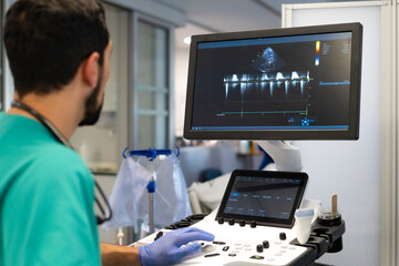 Doctor using ultrasound machine examining heart rate in hospital room © Carmen