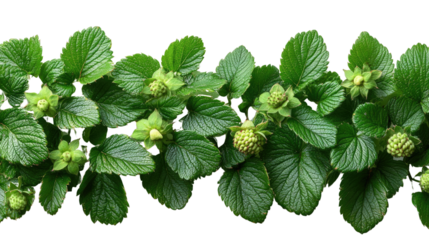 You've reached our limit of messages per hour Please try again later