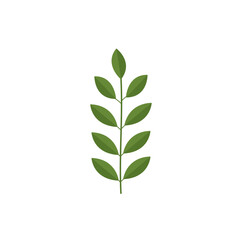 Simplified Green Sprig with Opposite Leaf Arrangement on White
