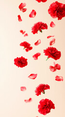Red carnations and petals falling gracefully against a soft background