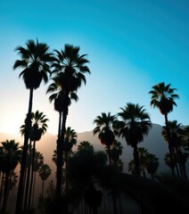 Fototapeta premium Misty morning, California palm trees silhouetted against a vibrant blue sky, environment, atmosphere