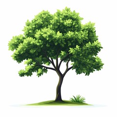 Illustration of a Vibrant Green Tree with Lush Foliage - Perfect for Landscaping and Nature-Themed Designs