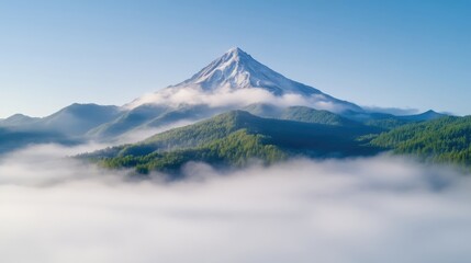 Majestic peak above a sea of clouds. Lush, green valley cradles the snow-capped summit