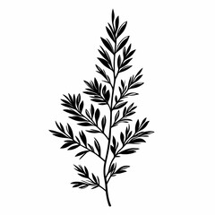 Fototapeta premium Rustic Vintage Botanical Illustration: Tropical Leaf Silhouette for Eco-Friendly and Sustainable Home Decor