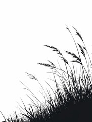 Silhouette of Grass Blades in Windy Meadow: Minimalist Black and White Nature Photography