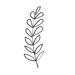 Elegant Line Art Botanical Sprig: Simple Minimalist Leaf Design