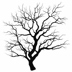 Obraz premium Leafless Tree Branch Abstract Silhouette Art Design for Nature-Themed Inspirational Background