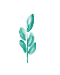 Teal Watercolor Sprig: Minimalist Botanical Illustration