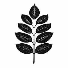 Botanical Black Leaf Silhouette - Minimalist Nature-Inspired Vector Art for Elegant Eco-Friendly Home Decor