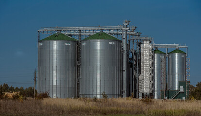 a modern agro-industrial complex - a group of metal grain storage facilities (silos) with green roofs, installed in an open field.   © Evdoha