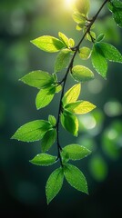 Delicate willow branches with fresh green leaves, soft pastel flowers in the background, warm sunlight filtering through, serene and peaceful atmos