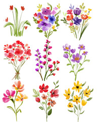 Vibrant Watercolor Floral Collection: Twelve Unique Hand-Painted Bouquets and Sprigs