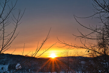Obraz premium sunset in the forest
