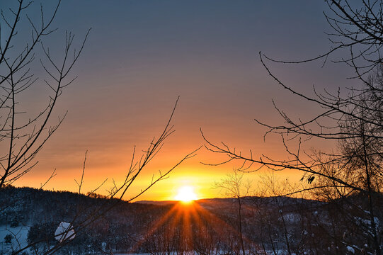 sunset in the forest