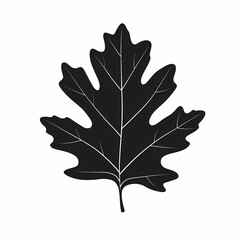 Fototapeta premium Minimalist Black Silhouette Autumn Leaf. Artistic Eco-Friendly Botany Illustration