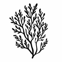 Fototapeta premium Marine Coral and Seaweed Illustration. Black & Natural Textures for Coastal & Beach Theme Decor