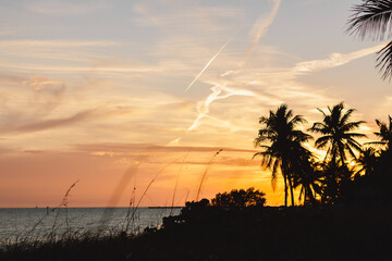 Beautiful colorful sunset at the beach. Summer vacation in Florida. Key West, Florida, US. Palm trees are close up on sunset at the beach. 