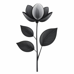 Black and White Lotus Flower Illustration: Minimalist Botanical Art for Modern Home Decor