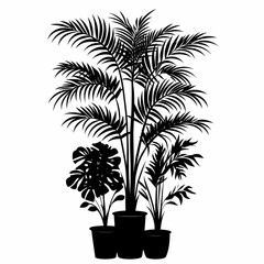 Obraz premium Indoor Plants Silhouette. Foliage and Monstera for Green Decor and Botanical Art in Minimalist Interior Design