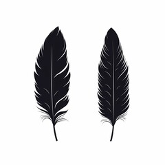 Elegant Black Feather Silhouettes: Illustrated Vector Artwork for Nature-Inspired Designs