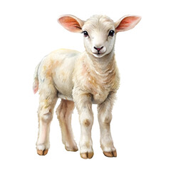Fototapeta premium White Baby Goat in Watercolor, PNG file for mock-up.