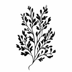 Fototapeta premium Elegant Black and White Botanical Silhouette of Tropical Leaf Foliage for Modern Graphic Design Decor