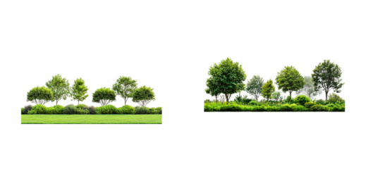 Lush green trees and shrubs in natural landscape setting. Cut out set