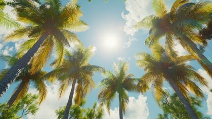 A vibrant view of palm trees under a bright sun and blue sky.