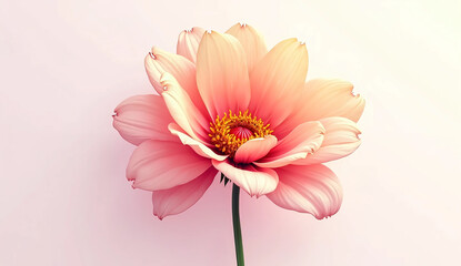 pink dahlia flower, Generative AI