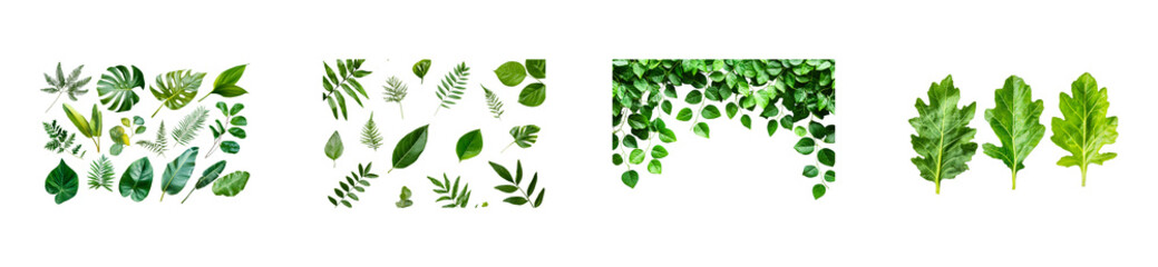 Naklejka premium Exploring leaf varieties nature botanical greenery. Cut out set