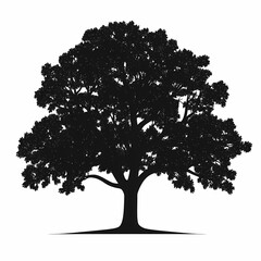 Tree Silhouette in Nature: Artistic Black and White Foliage Illustration