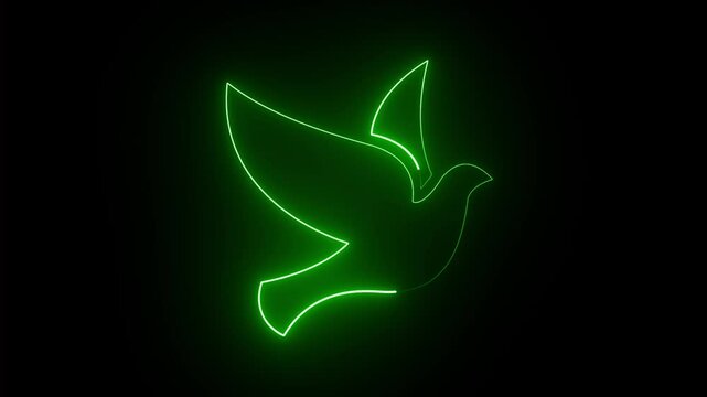 abstract glowing Neon bird icon animation. flying bird concept on black background.