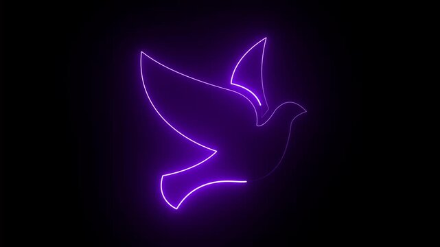 abstract glowing Neon bird icon animation. flying bird concept on black background.