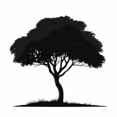 Silhouette of Black Tree Under Scenic Backlit Sky: Botanical Illustration for Ecological and Artistic Design