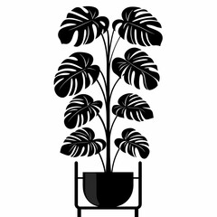 Black and White Monstera Plant Illustration for Modern Home Decor and Artistic Interior Design