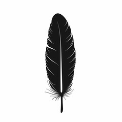 Black Feather Illustration: Elegant Line Art and Minimalist Design with Vintage Texture