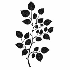 Fototapeta premium Black Silhouette of Botanical Leafy Branch: Nature-Inspired Eco Design for Home Decor and Illustration