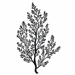 Fototapeta premium Black Silhouette Botanical Art: Nature Illustration with Tropical Leaves for Rustic Home Decor and Sustainable Design