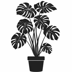 Monstera Plant Silhouette: Tropical Houseplant Illustration for Modern Indoor Decor