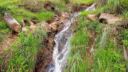 small waterfall in the forest