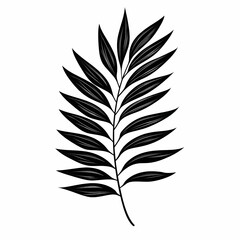 Obraz premium Tropical Palm Leaf Botanical Art: Modern Minimalist Greenery Illustration for Decorative Eco-Friendly Design