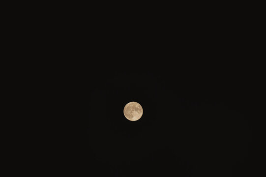 moon in the night