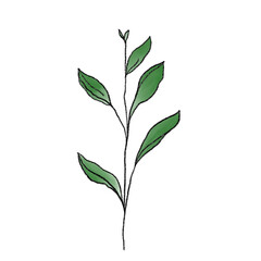 Minimalist Green Leaf Illustration