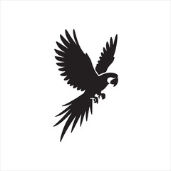 eagle vector illustration
