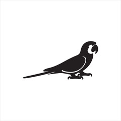 silhouette of a bird