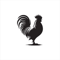 rooster vector illustration